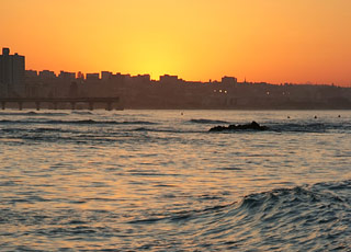 Escale Afrique du Sud (Port Elizabeth)